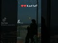 ليلة ليلة يا ليلى أغنية الفيلم قسم 8