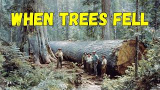 🪓🔥Logging the Giants: Historic Photos from California & Oregon