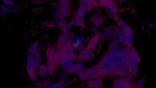 I13 AGN: Magnitude of the Vorticity