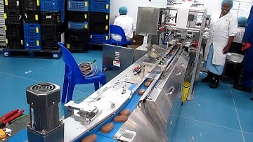 high speed flow wrapper, flow wrapper high speed, flow-pack,flow pack machine