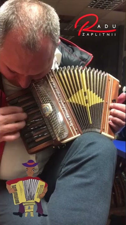 Very small accordion Settimio Soprani #shorts