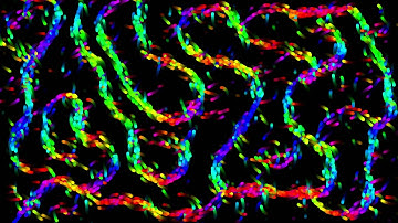Processing (Java) - 3000 Path Forming Orbs 60 fps (Generative Art)