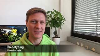 Bulked Segregant Analysis – Part 3: Measuring plants