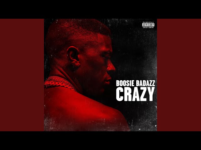 crazy lyrics boosie｜TikTok Search