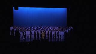 Harmonizers Ambadors Of Harmony - Music Of The Night