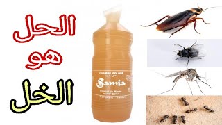 أقوى الحلول للقضاء على الحشرات المنزلية بكل أنواعها بدون مبيدات كيماوية لصيف مريح👌