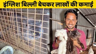 इंग्लिश बिल्ली बेचकर लाखों की कमाई | Persian Cat | Indian Farmer | #shorts