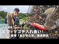[フラットフィッシュ] 能登でマゴチ連発！アタリ倍増「食わせの間」徹底解説 高橋慶朗