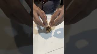 Guess what inside??? | Crazy egg surprise egg mesin capit isi di dalam #surpriseegg #mysteryegg #egg