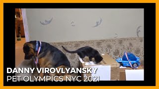Pet Olympics 2021 NYC by Danny Virovlyansky