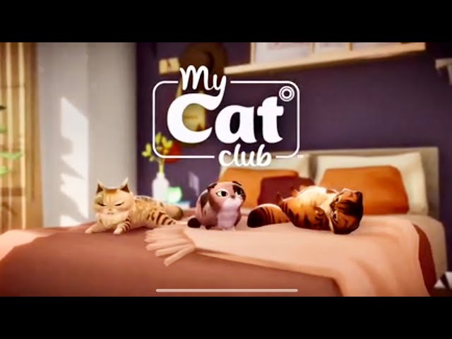 My Cat Club Gatinhos fofos: Gameplay, jogo de gatos, fotos, tags  mais(Android/IOS) JOGO NOVO GRÁTIS 