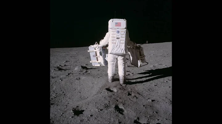 Apollo 11 by Suzanne Kaiser