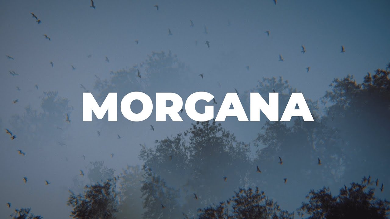 Watch Malkovic - Morgana / VIDEO on YouTube Watch Malkovic - Morgana / VIDEO on YouTube