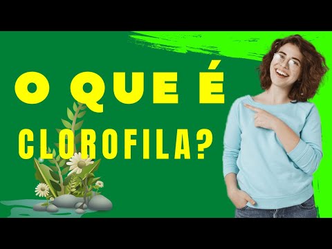 Vídeo: Onde está localizada a clorofila?