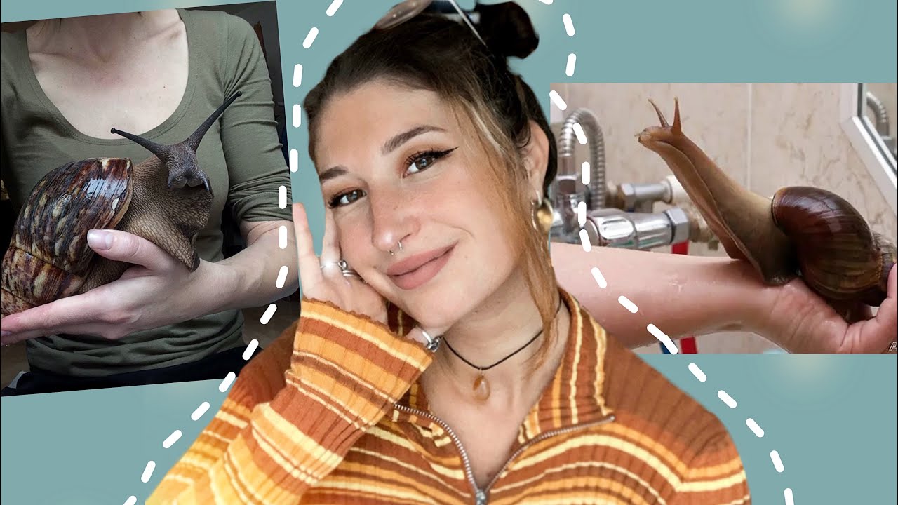 MES ESCARGOTS GÉANTS (enfin des nouvelles de Pomme, Poire et Pêche 👀)