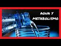 Capítulo #47: AGUA y SALUD