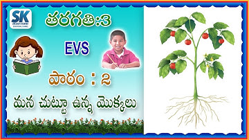 #3rd class# , #EVS# , #మన చుట్టూ ఉన్న మొక్కలు.#
