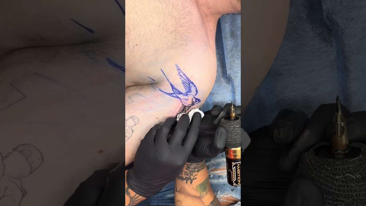 How to tattoo a micro realistic sparrow tattoo 