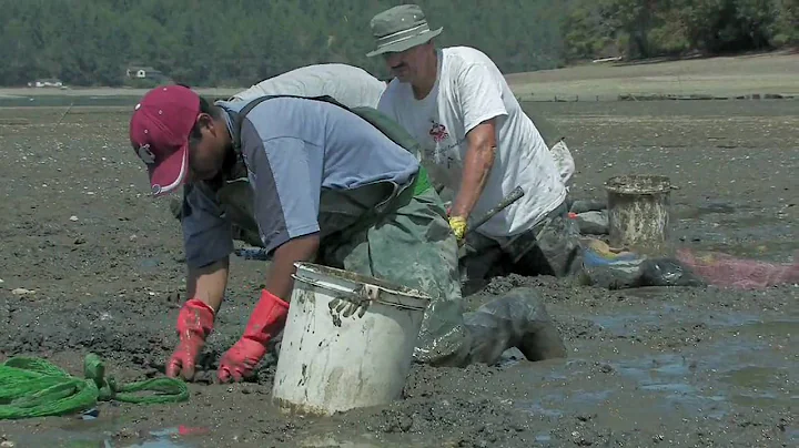 "Shellfish Farmer" by Zach Meyer