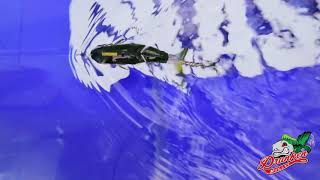 chasebaits drunken mullet