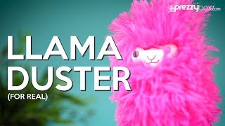 Llama Duster - Dusting... No Probllama