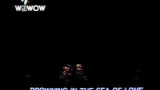 Boz Scaggs Drowning In The Sea Of Love [Live] 1993.3.28 NHKホール