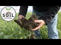 Soil school what makes a healthy soil