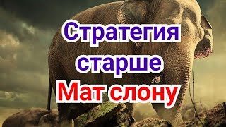 25) Стратегия старше  !     Мат  слону !