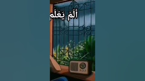 المنشاوي (( أَرَعَيْتَ إِن كَذَّبَ وَتَوَلَّى أَلَمْ يَعْلَم بِأَنَّ اللهَ يَرَى )) سورة العلق..
