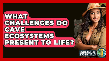 What Challenges Do Cave Ecosystems Present To Life? - Ecosystem Essentials