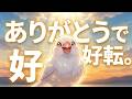 「【小林正観】なぜ『ありがとう』だけで人生が好転するのか？神様に愛される三位一体の法則」／１８夜／心整う毎日３分間のありがとう【毎日更新】