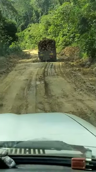 Muatan kayu 8 kaki