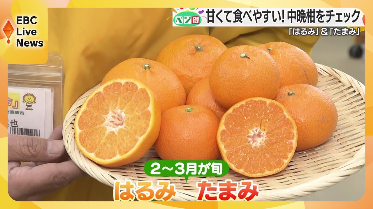2～3月にかけてが旬の中晩柑「はるみ」と「たまみ」【ベジ得】 - YouTube