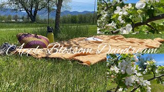 Apple Blossom Daydream