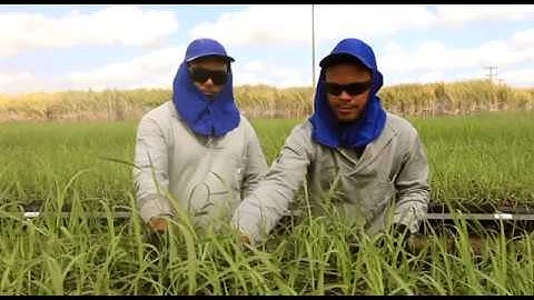 GRANBIO  - Biofuture Platform