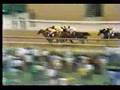 1975 preakness stakes