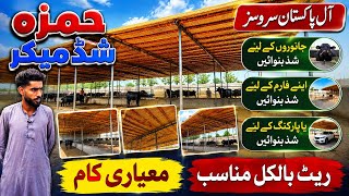 Modern Buffalo & Cattle Shed in Pakistan | Best Cattle Shed Design & Construction Guide | Dairy Shed