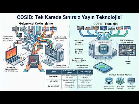 Monitoring Hundreds of Live Streams on a Single Frame: COSIB Server-Side Composition