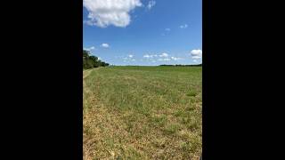 Lots And Land for sale - 00000 Mills Road, Lacygne, KS 66040