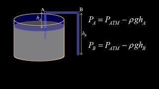 The physics of how a siphon works: pressure as a function of depth at the moment the siphon starts.