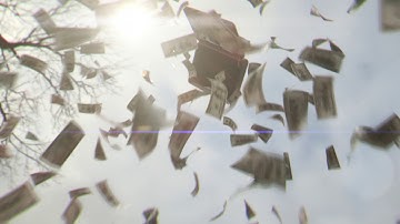 Money Model Pack for mO2 Apple Motion and FCPX Plugin