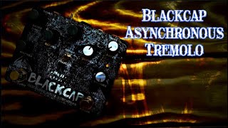 Old Blood Noise Endeavors BlackCap Tremolo - Demo & Review
