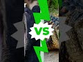 List of 23 animal battles @patrickbell7035