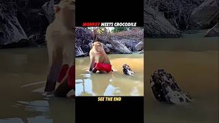 Everyone Fears Crocodiles But Not The Monkey