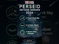 Perseid Meteor Shower
