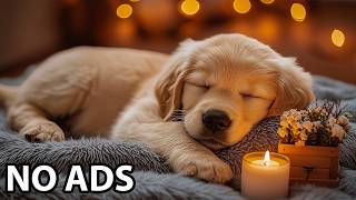 12 Hours Dog Relaxation Music 🌸 Dog Music & Dog Healing Soundscape For Comfort And Relaxation screenshot 1