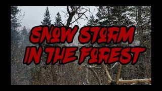 Snow Storm In The Forest (Day Hike) TWGR
