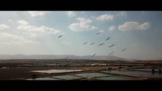 DJI 0427 1