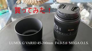 LUMIX G VARIO 45-200mm F4.0-5.6 MEGA O.I.S. テスト / GH5 手持ち