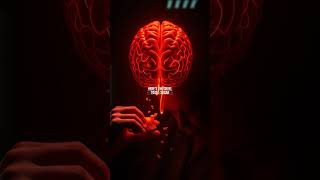 Why Stress Makes You Crave Sugar: Your Brain's Survival Mechanism Explained